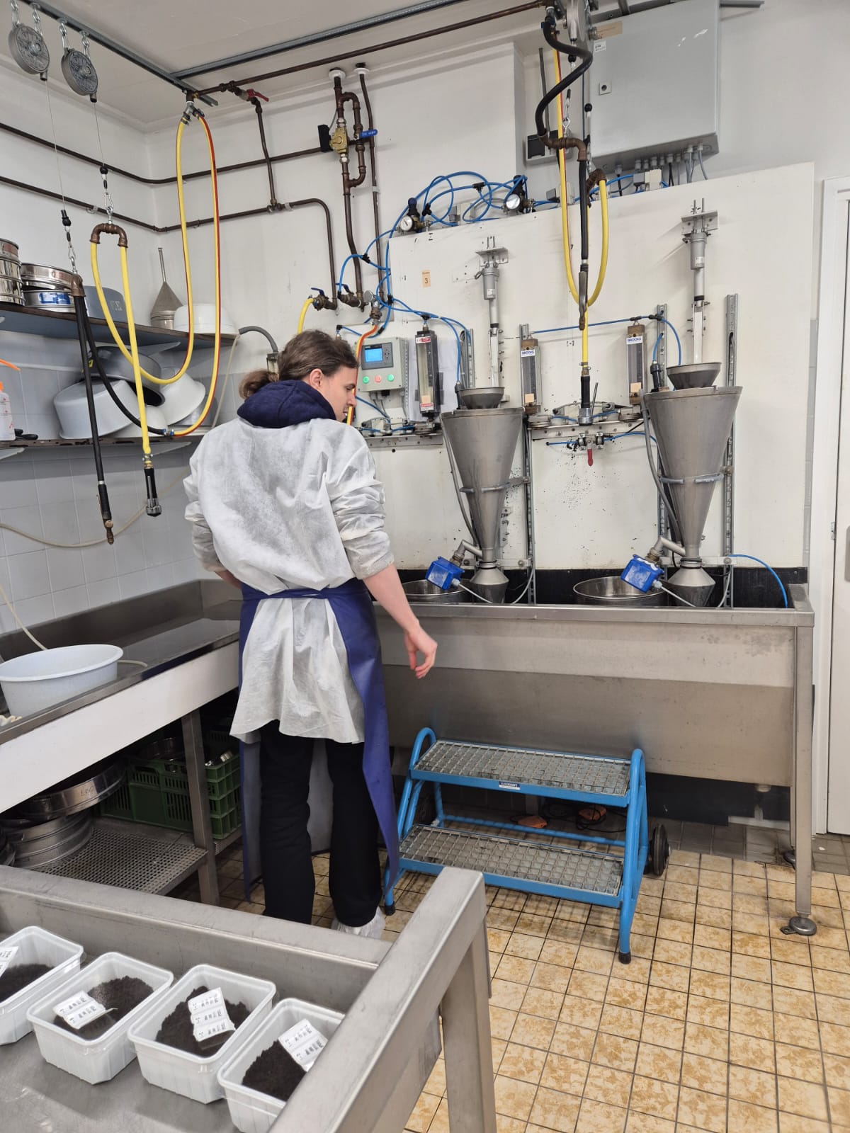 lab