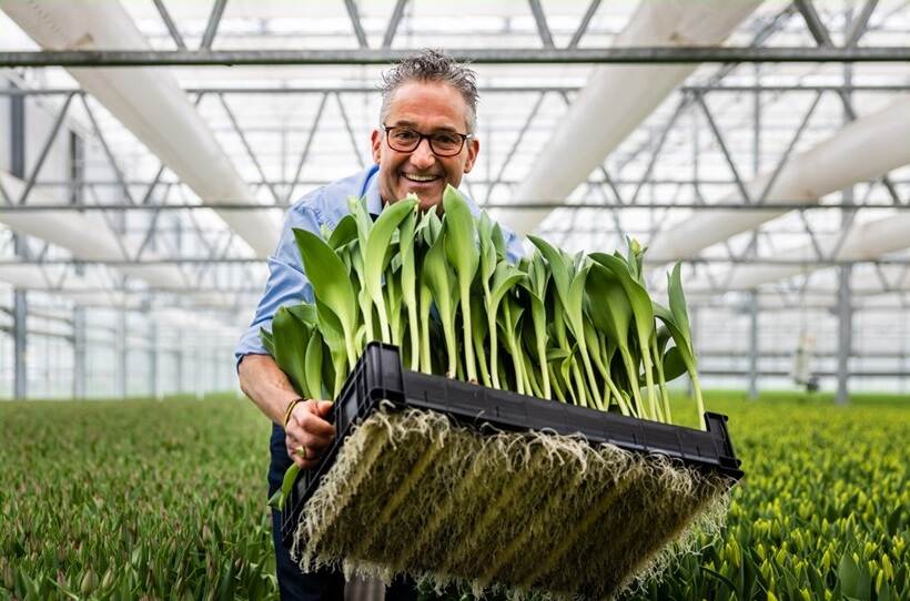 real-management-in-de-bollen