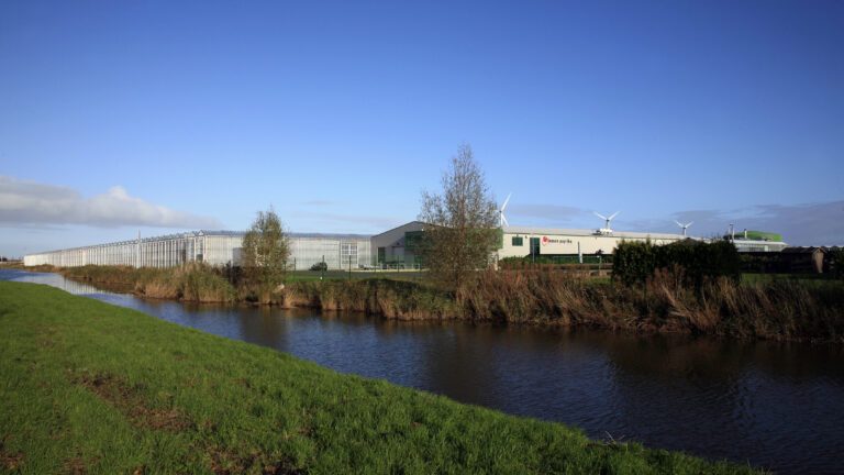 zaadmengsels en akkerranden dragen bij aan meer biodiversiteit in glastuinbouw