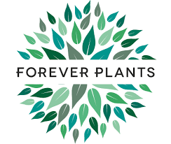 Forever plants